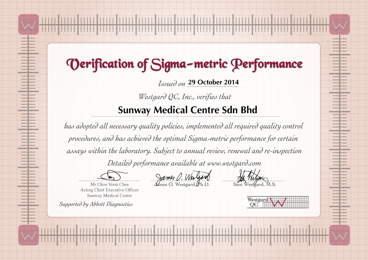 Sunway Sigma Verification of Performance