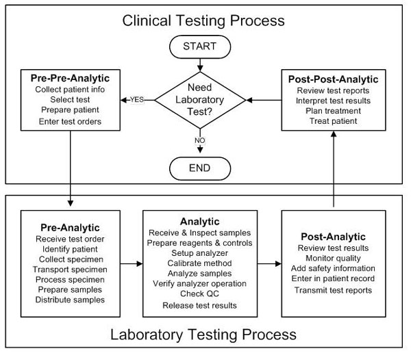 RiskTestingProcessChart